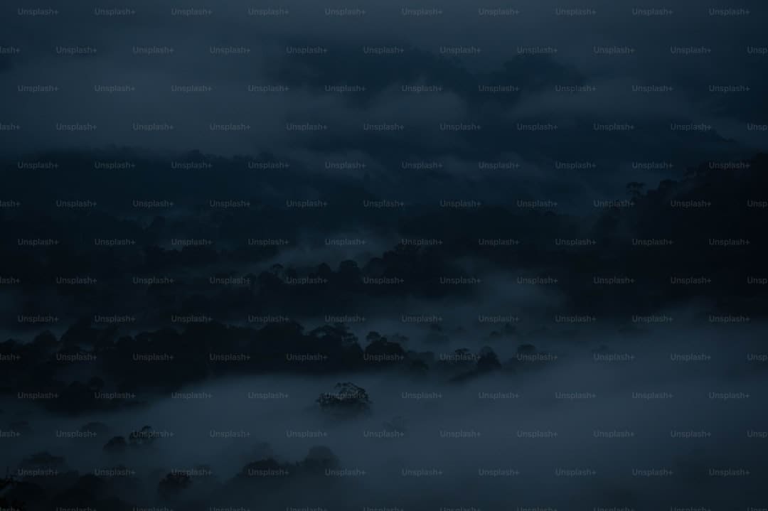 宋佳佟丽娅电影《轻于鸿毛》七夕定量点映 带上姐妹一同高兴动身